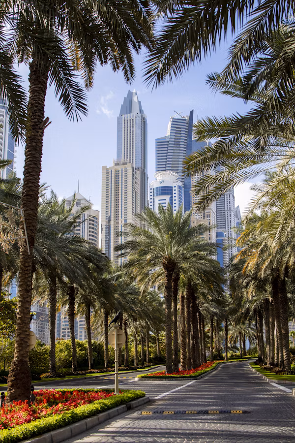 SZR Cityscape
